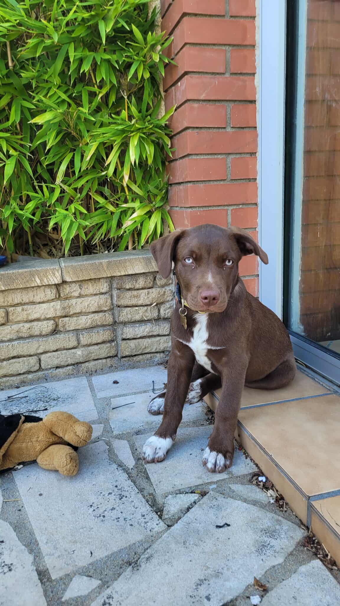 WhatsApp Image 20fhgfh6-02-20 at 09.43.36.jpeg